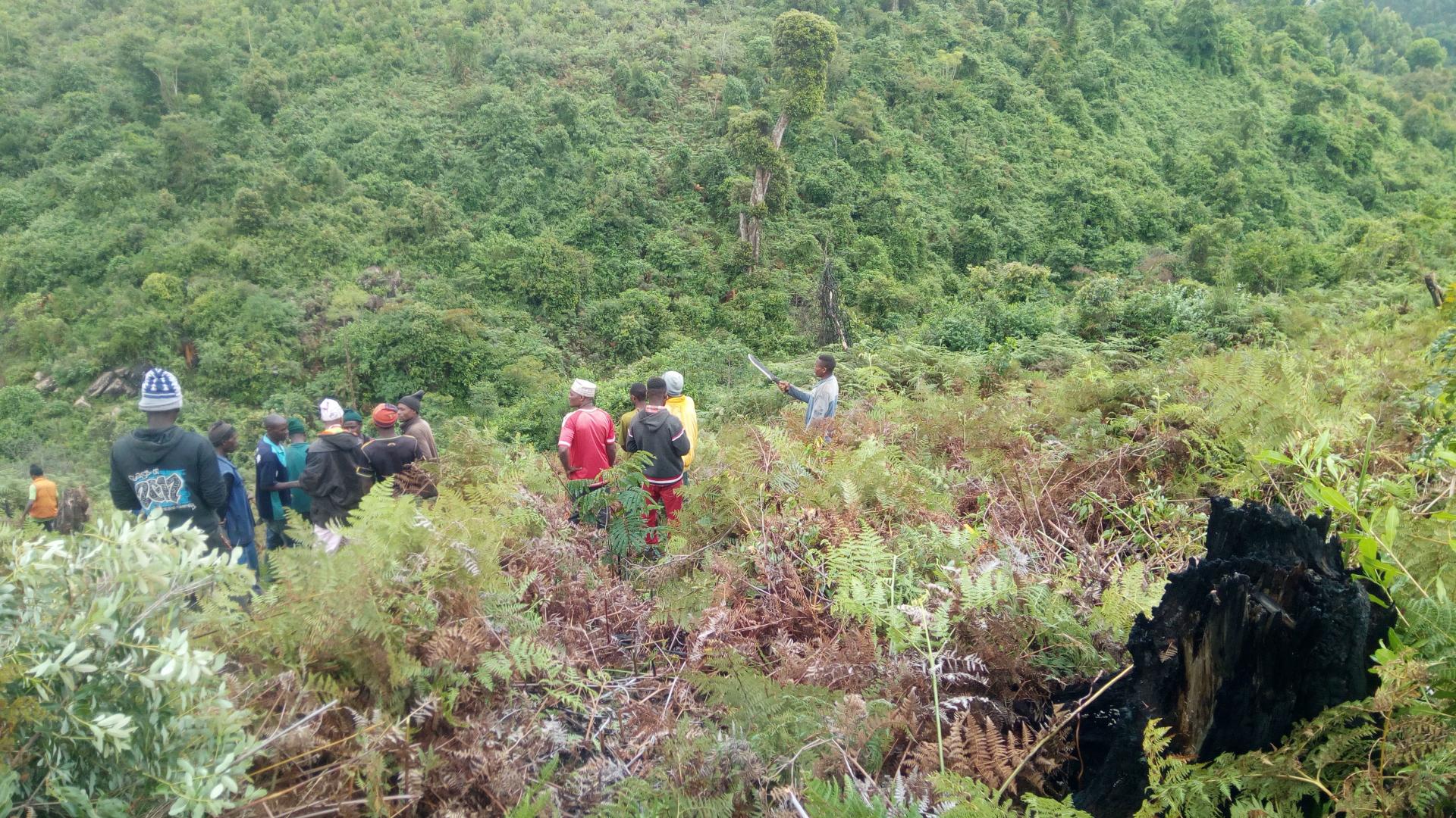 Restoration of Magamba Nature Forest Reserve in Tansania – there-for ...